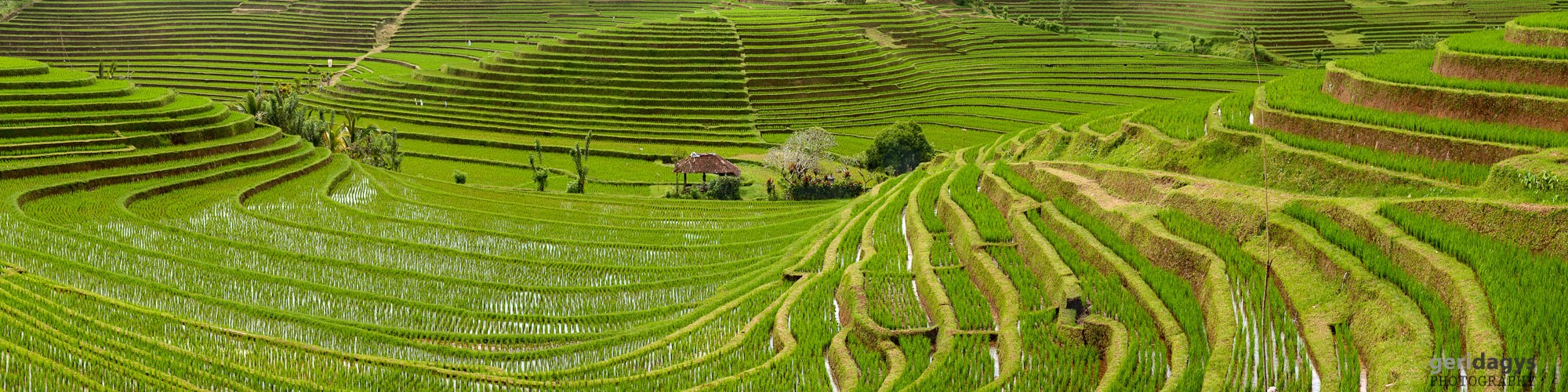 UBUD