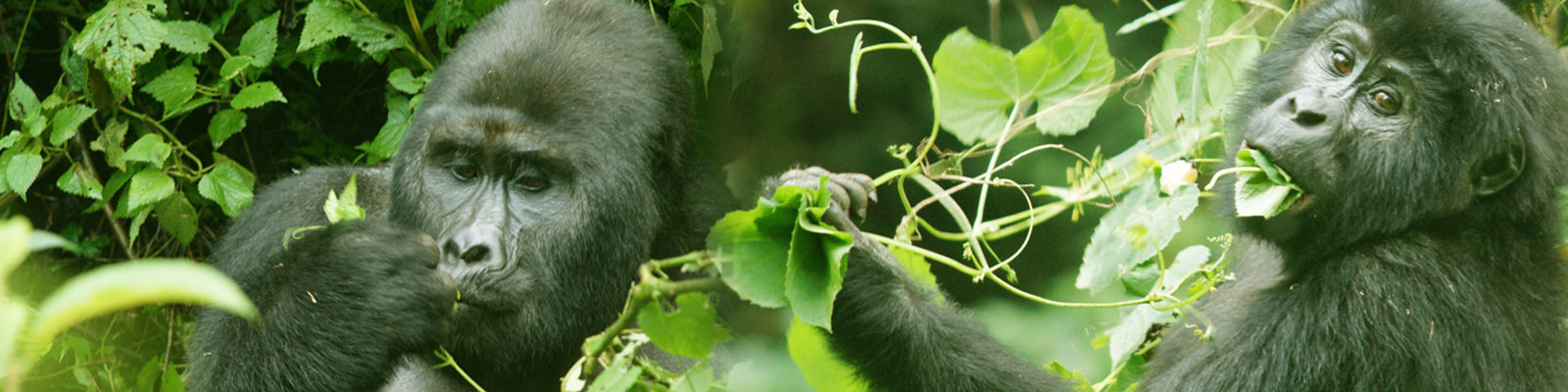 Kigali