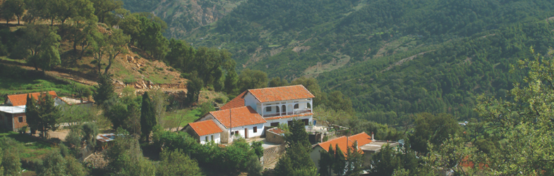 Ain drahem